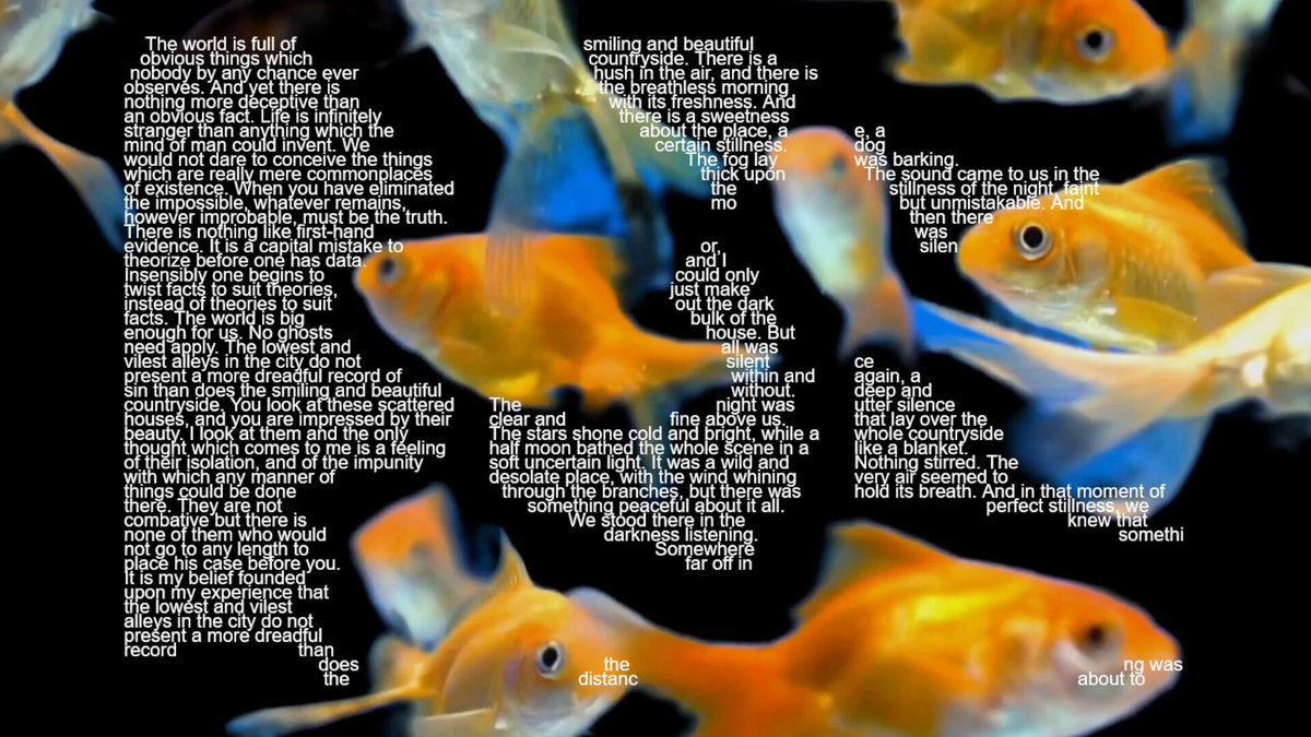 Video from @poetengineer__'s tweet